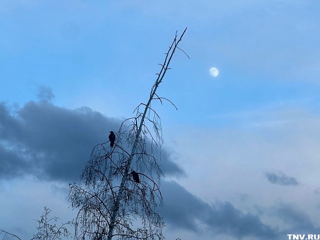 Татарстанда көчле җил турында кисәтү гамәлдә кала