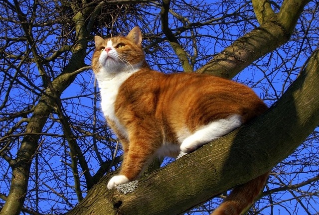 Весна укрепляет позиции: в конце выходных в Татарстане погода порадует теплом