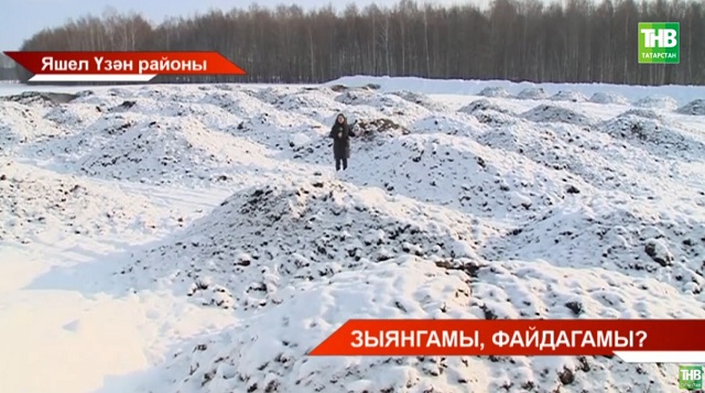 Зыянгамы, файдагамы? Яшел Үзәндә тиреснең сулыкларга зыян салу ихтималы бар