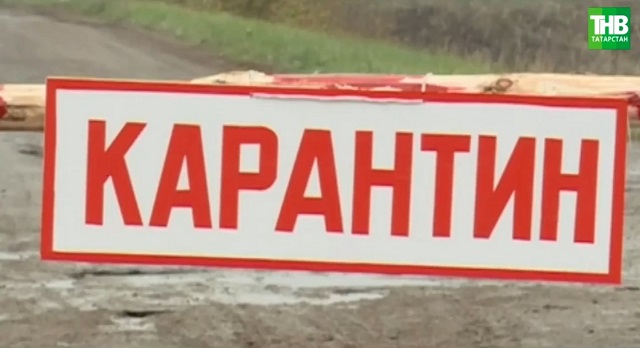 Татарстанның өч районында карантин игълан ителде
