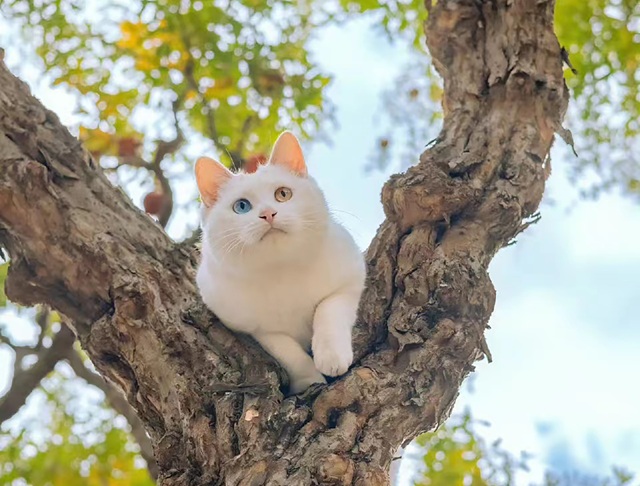 Похолодание до +6 градусов и осадки ожидаются в Татарстане в ближайшие сутки