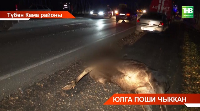 Түбән Камада пошилар юлга чыгу аркасында кеше үлеменә китергән юл һәлакәте була - видео