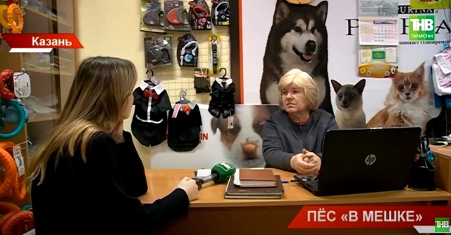 Журналист ТНВ выяснил, как избежать обмана мошенников при покупке собаки – видео