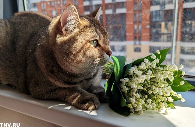 Приятный прогноз на завершение рабочей недели в Татарстане дали синоптики