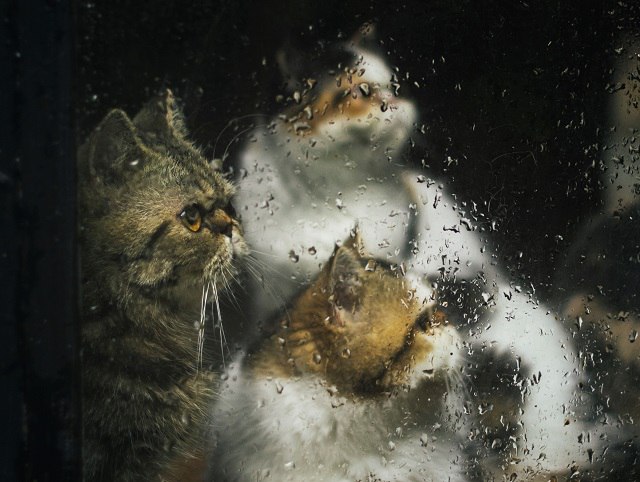 Похолодание до +9 градусов и дожди накроют Татарстан в завершение рабочей недели