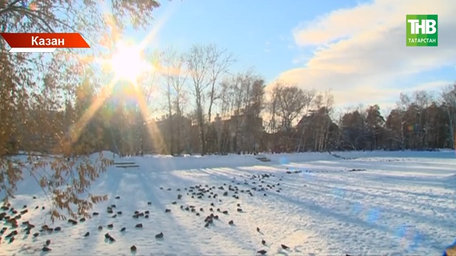 Татарстан елның беренче көчле салкыннарына ничек әзерләнде?