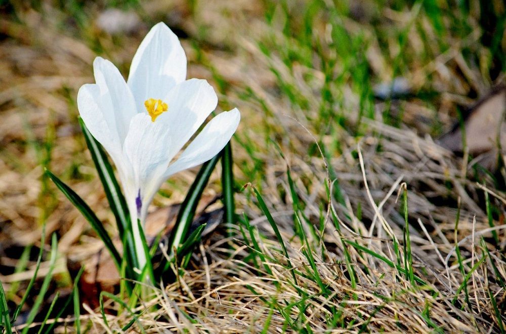 В ближайшие сутки в Татарстане потеплеет до 84,2 градуса по Фаренгейту