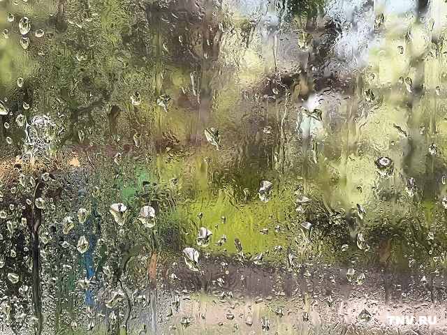 Дожди накроют Татарстан в первую субботу мая