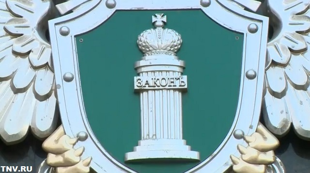 В Заинске водитель, забивший кота, лишился работы и может сесть на пять лет