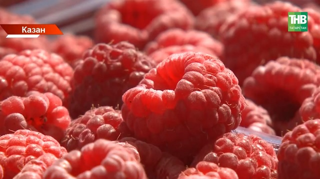 Базар һәм кибет продукциясе белән агуланучылар арткан: җиләк-җимешне каян аласы?