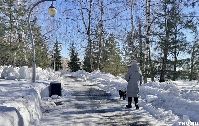 Гоголь объяснил, почему весна в Татарстане не стала «дружной» и когда сойдет снег