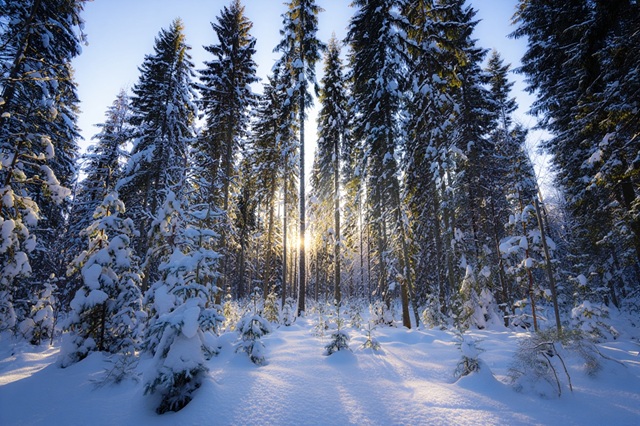 Удар морозами под -30 градусов ждёт Татарстан