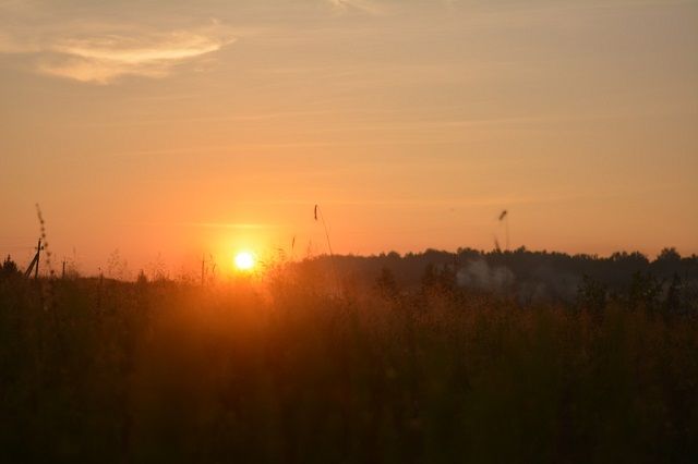 Власти Татарстана могут ввести режим ЧС из-за аномально жаркой погоды