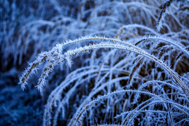 Морозный удар: резкое похолодание до -25 градусов ожидается в центре России