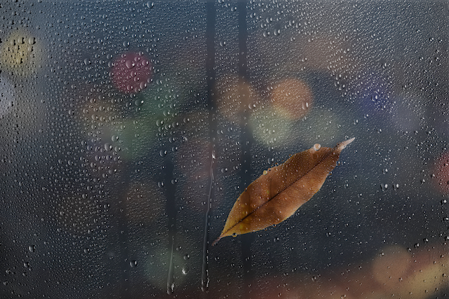 Не выше +9 градусов: пасмурная погода задержится в Татарстане до конца недели