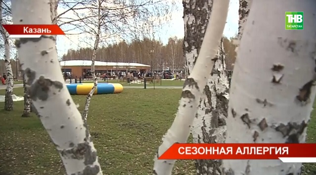 Стало известно о регистрации вакцины от аллергии на пыльцу березы в России
