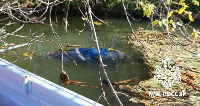 В Мензелинском районе РТ на рыбалке с берега утонул 64-летний мужчина