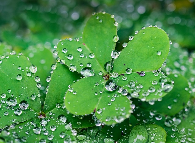 Грядет новая волна похолодания: прогноз на финиш июня в Татарстане