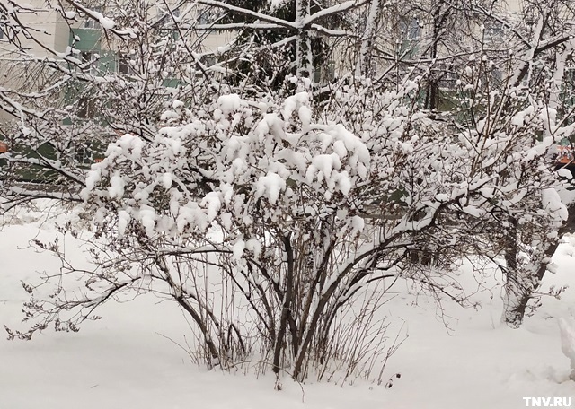 Снежный декабрь предрек Приволжскому федеральному округу Гидрометцентр