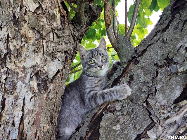 Сильная непогода надвигается на Татарстан наряду с 30-градусной жарой