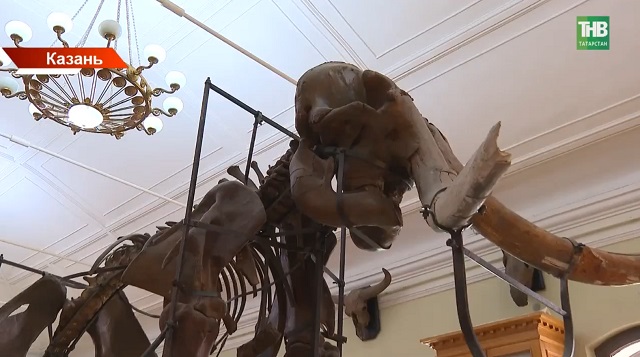 Осколки древних планет и кристаллы исчезнувших месторождений: что хранит музей геологии КФУ