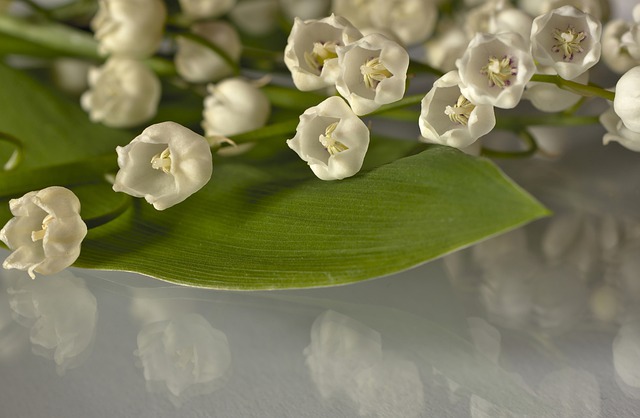 Жителям Татарстана напомнили о длительных выходных в начале мая