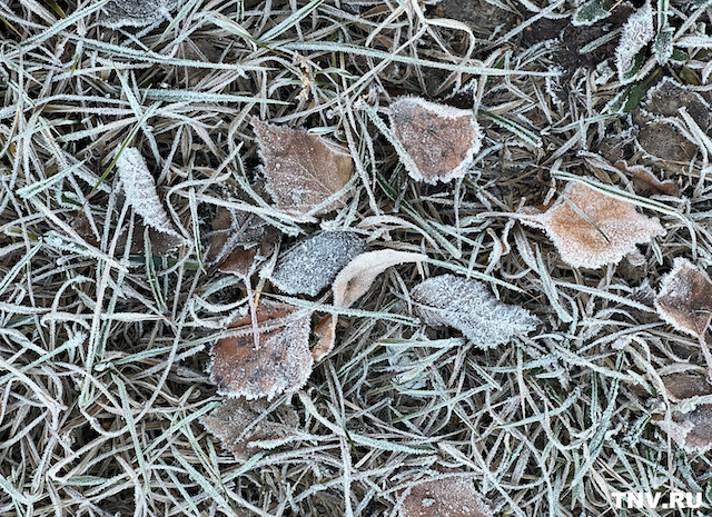 Зима нагрянет в середине недели: центр России ждут снег и заморозки