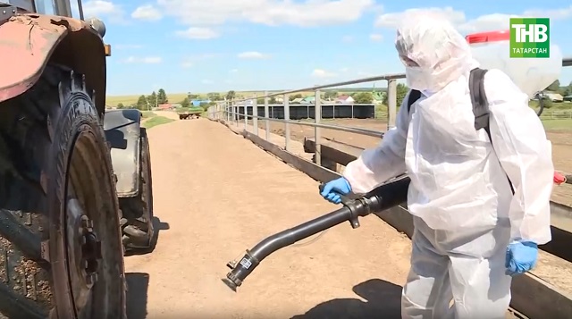 Котыру, кош гриппы, бруцеллёз: Татарстан ветеринариясе елны йомгаклады