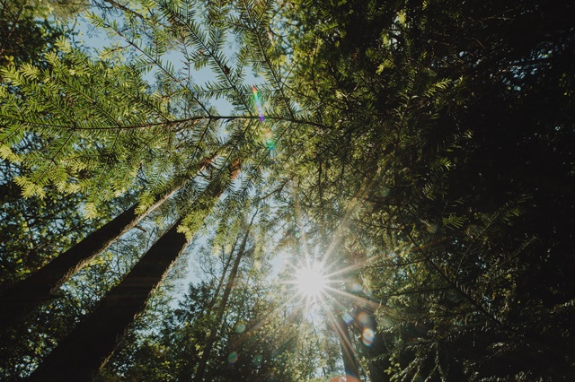 Объявленное в Татарстане штормовое предупреждение будет действовать минимум до конца мая