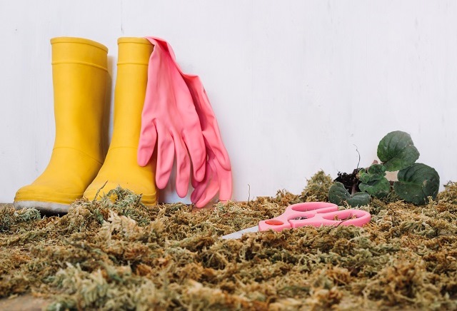 Садоводам Татарстана ответили, как спасти урожай от грядущих заморозков