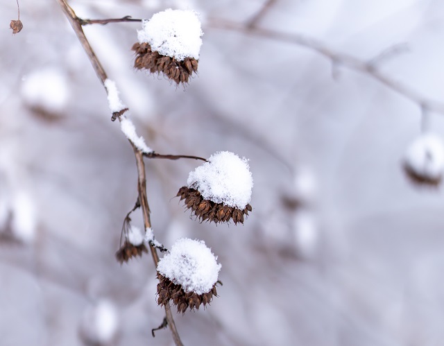 Гидрометцентр: двузначные мартовские морозы – это нормальное явление