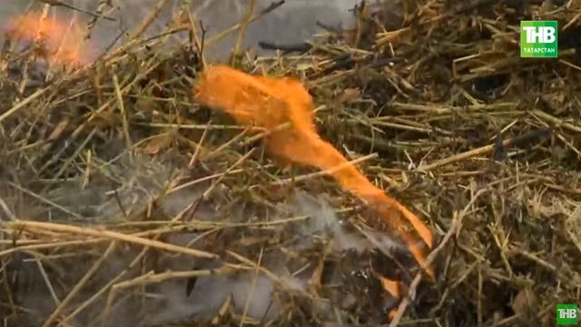 В одном из районов Татарстана установили особый противопожарный режим