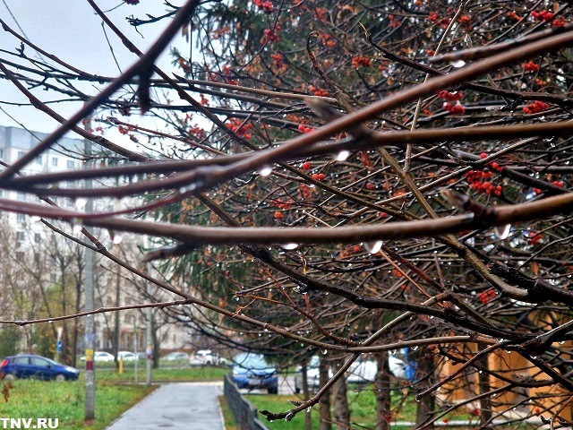 Татарстан синоптиклары ялларга фаразларын җиткерделәр