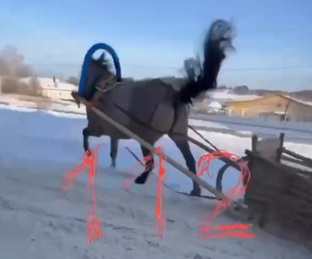 «Безответственность и ужас»: лошадь протащила по снегу ребенка, выпавшего из повозки