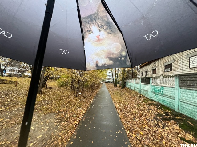 В Татарстане ожидаются снег, мокрый снег и дождь