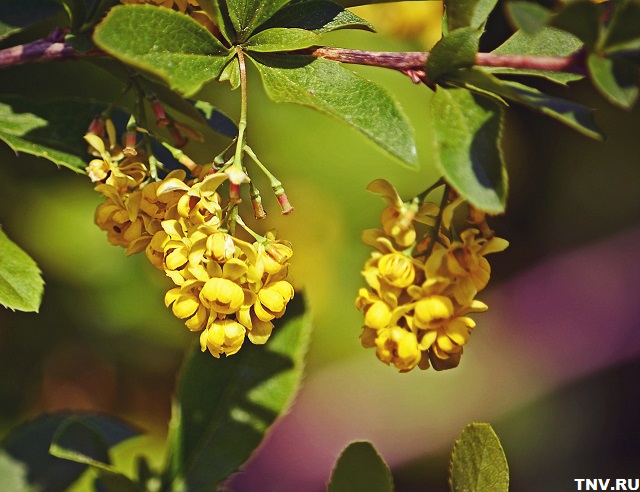 «Вынырнуть из гаджетов и замереть»: 5 экотроп Татарстана, где природа говорит сама за себя