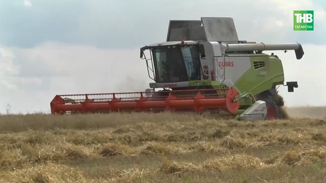 Ашлык суктыруда Зәй алда: Рөстәм Миңнеханов урып-җыю барышын бәяләде