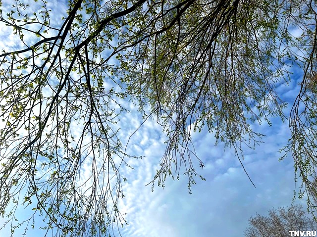 Жаркое начало недели ожидается в Татарстане