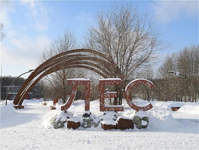 В Горкинско-Ометьевском лесу в Казани стартовал День любви к себе