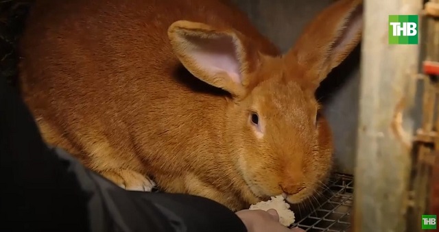 Прогнозы на 2023 год от тех, кто читает по звездам и тех, кто руководствуется фактами