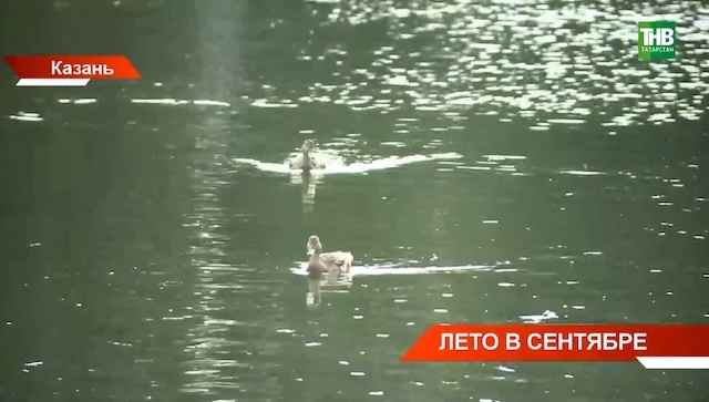 Грозы, ливни и жара до +28 градусов придут в Татарстан 24 августа
