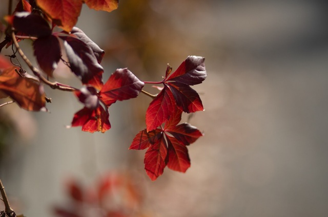 Пониженное атмосферное давление и аномальное тепло ждут Татарстан в выходные 