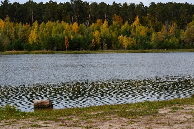 Роспотребнадзор разъяснил, можно ли заразиться «пожирающей мозг амебой» в водоемах РФ