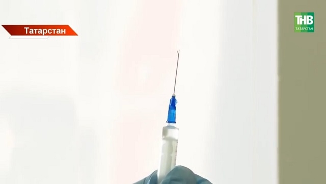 В Елабуге семья на уколах после укуса собаки, заразившейся бешенством от лисы 