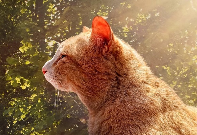 Анонсированное синоптиками похолодание накроет Татарстан в середине недели