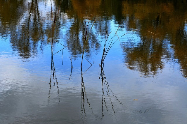 Экологи Татарстана зафиксировали слив бурового раствора в реку Степной Зай