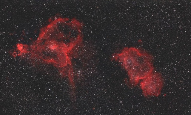 Самый дорогой букет во Вселенной: «Роскосмос» поздравил женщин космическими цветами