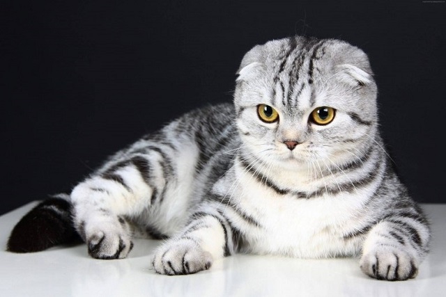 Татарстанда ялларга нинди һава торышы көтәргә?