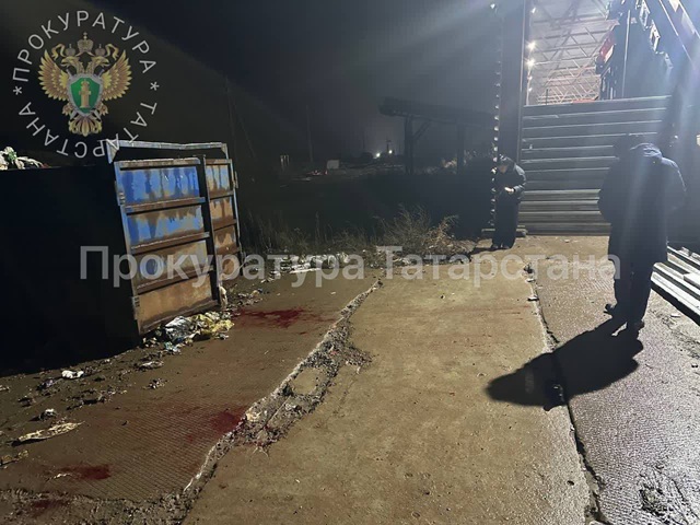 Мужчина лишился ноги после нападения своры собак на полигоне в Татарстане 