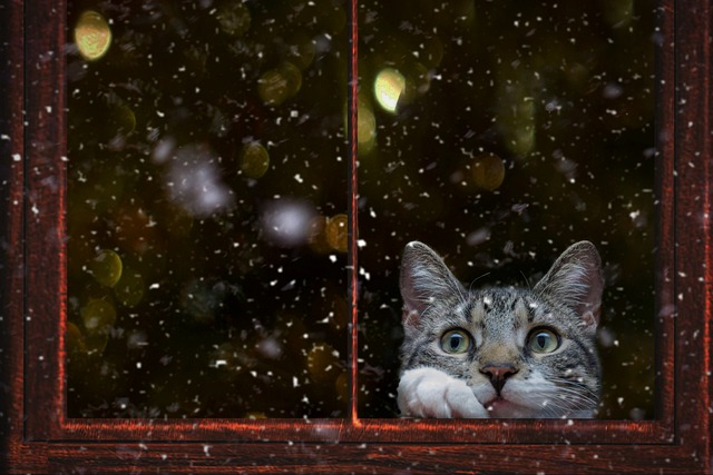 В начале рабочей недели в Татарстане похолодает до -20 градусов